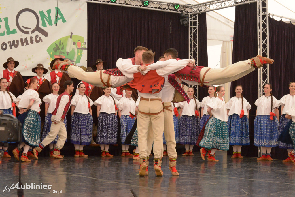 Zielona Pracownia dla I LO w Lublińcu