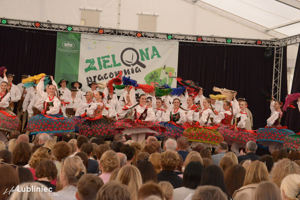 Zielona Pracownia dla I LO w Lublińcu