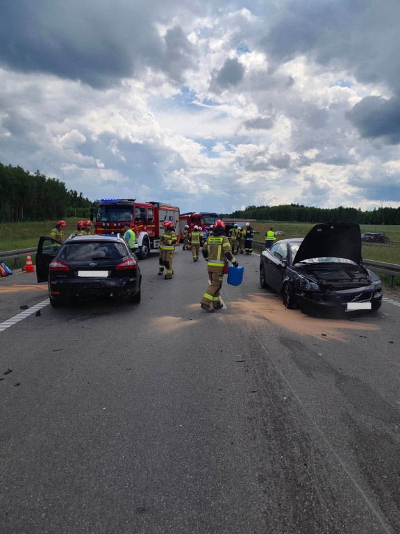 Druhowie z OSP Woźniki w akcji