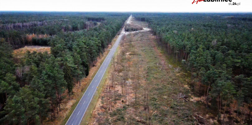 Lubliniec. Wzdłuż ul. Stalmacha i obwodnicy (DK11) prowadzony jest wyrąb lasu. Fot. Jarosław Myśliwski