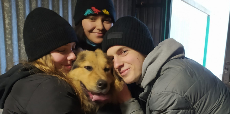 OTOZ Animals Lubliniec