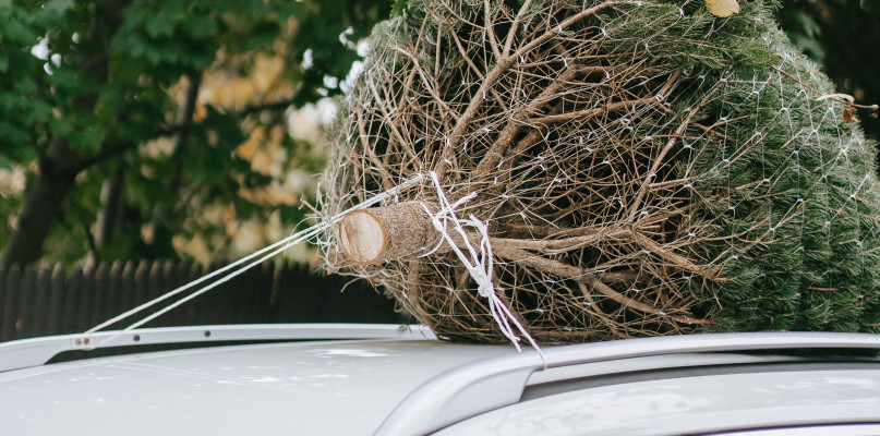 Zdjęcie poglądowe, Pexels