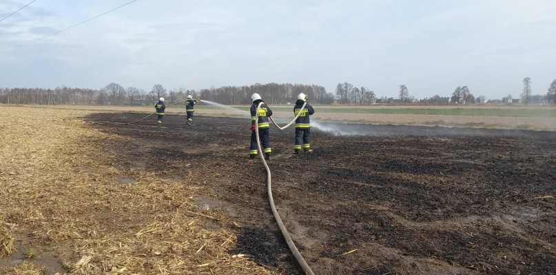 Pożar pozostałości po uprawie kukurydzy w Sadowie. Fot. OSP Sadów