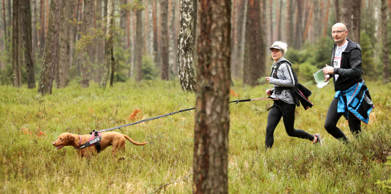 Fot. Archiwum organizatorów