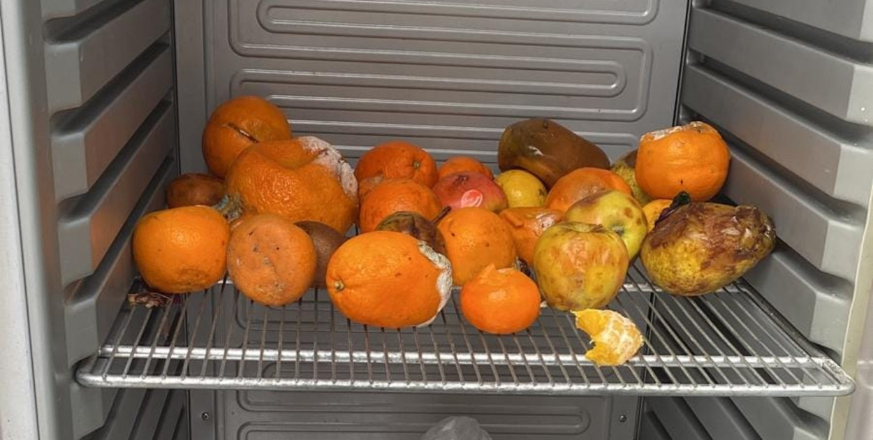 Fot. Archiwum Społeczna lodówka w Lublińcu Lubilodówka