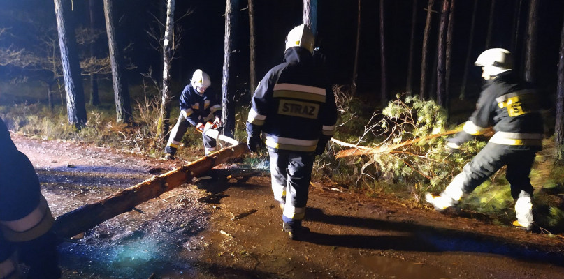 W Piłce strażacy usuwali drzewo z drogi. Fot. OSP Rusinowice 