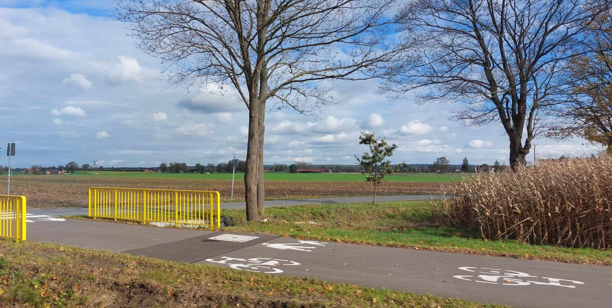 W powiecie lublinieckim jest sporo dróg rowerowych, ale wielu rowerzystów i tak z nich nie korzysta. Fot. Agnieszka Reczkin