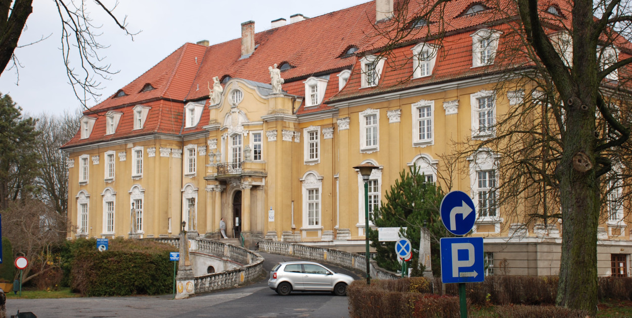 Obecnie szpital rehabilitacyjny mieści się w pałacu w Kochcicach. Fot. Elżbieta Kulińska