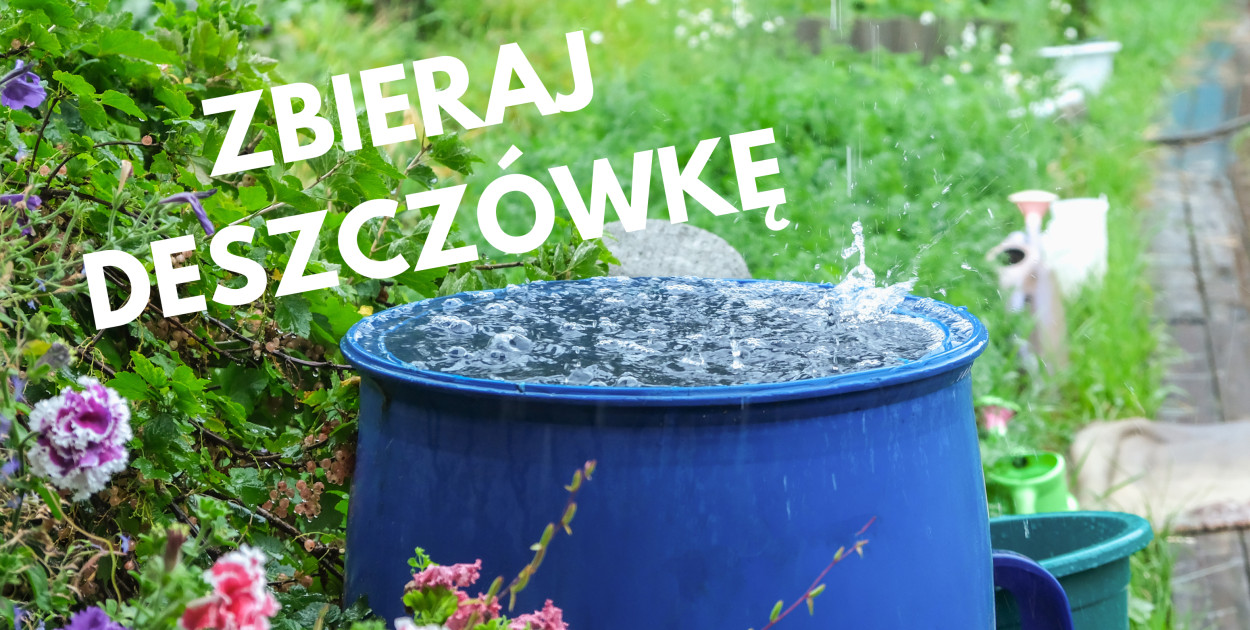 Można zaoszczędzić na wodzie, a jednocześnie przyczynić się do ograniczenia zjawiska suszy. Są na to dotacje. Fot. Canva/Gwarek