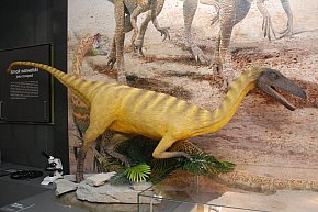 Muzeum paleontologiczne już otwarte [FOTO]-388