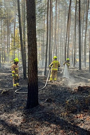 Pożar lasu gasiły samoloty, śmigłowiec i straże-425