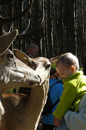 Rajzowanie po stanicach, czyli przednia zabawa-549