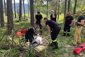 Powiat lubliniecki. Najlepsi ratownicy wśród strażaków-624