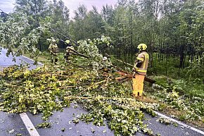 Skutki burzy w powiecie lublinieckim [FOTO]-636