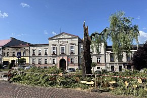 Silny wiatr złamał wierzbę na rynku-639