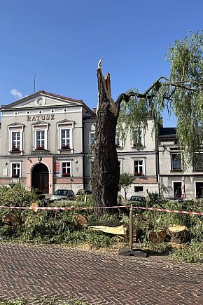 Silny wiatr złamał wierzbę na rynku-639