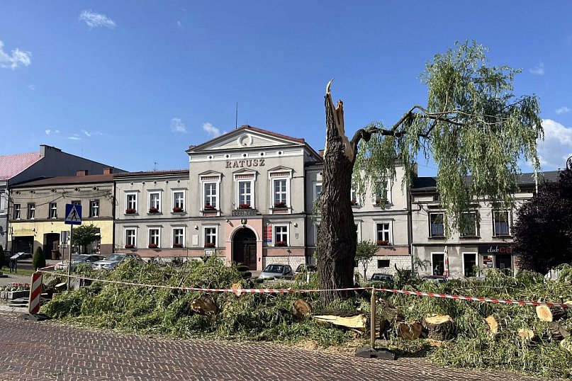 Silny wiatr złamał wierzbę na rynku