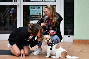 Lubliniec. Gala psów nie tylko rasowych [ZDJĘCIA]-674