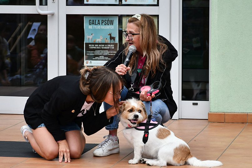 Lubliniec. Gala psów nie tylko rasowych [ZDJĘCIA]