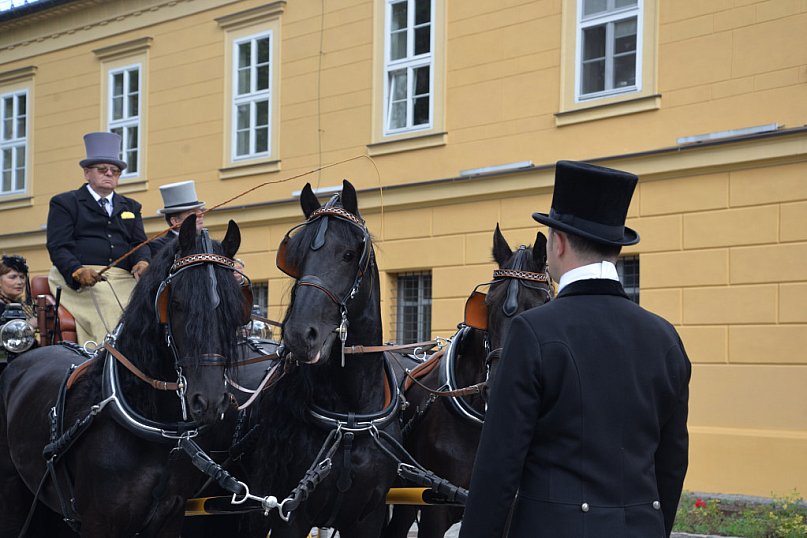 Konkurs powożenia w Koszęcinie i cofanie do garażu