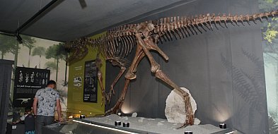 Lisowice. Muzeum paleontologiczne już otwarte [FOTO]-6460