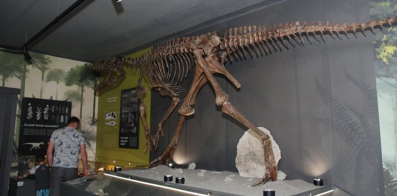 Lisowice. Muzeum paleontologiczne już otwarte [FOTO] - 6460