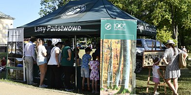 W weekend w Koszęcinie odbył się piknik rodzinny Cietrz-7789