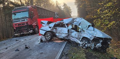 Powiat lubliniecki. Śmiertelny wypadek na drodze wojewódzkiej-8746