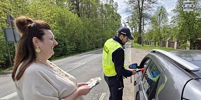 Powiat lubliniecki. Policjanci i urzędnicy na drogach-10347