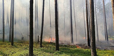 Pożar w leśnictwie Kokotek, wezwano śmigłowiec. Leśnicy alarmują-10870