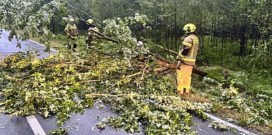 Skutki burzy w powiecie lublinieckim [FOTO]-10885