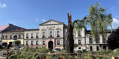 Silny wiatr złamał wierzbę na rynku-10891
