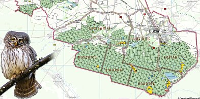 Nadleśnictwo Lubliniec wydało mapę turystyczną. Pomoże w letnich wędrówkach-10944