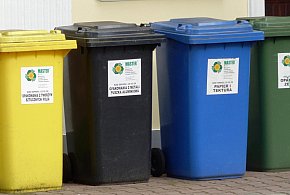 Koniec z darmowymi workami na śmieci. Tak zmieniają się zasady w gminach-11073