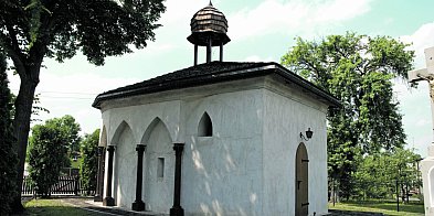 Rajza historyczno-przyrodnicza z niespodzianką-11095
