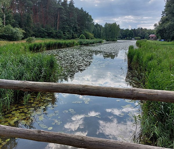 Ścieżka przyrodniczo-edukacyjna Klepaczka w Koszęcinie-11255