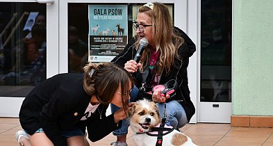 Lubliniec. Gala psów nie tylko rasowych [ZDJĘCIA]-11278