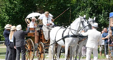 Koszęcin. Zawody w powożeniu i  zaprzęg dziesięciu koni-11443