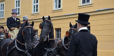 Konkurs powożenia w Koszęcinie i cofanie do garażu-11472
