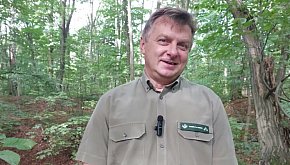 Rezerwat Góra Grojec w Nadleśnictwie Koszęcin