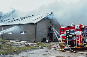 Pożar w Sadowie. Kilkadziesiąt zastępów strażackich-762
