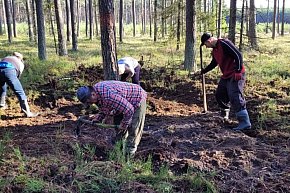 Nadleśnictwo Lubliniec. Poszukiwania w lesie-768