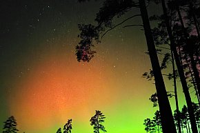 Zorza polarna nad lublinieckimi lasami-831