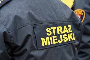 Zapuka strażnik, zapłacisz karę. Ruszyły kontrole w całej Polsce-11922