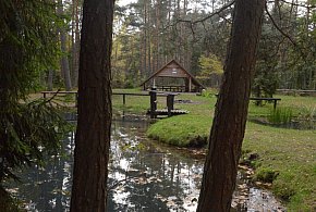 Spacer z leśnikiem nad rzeką Mała Panew-12012
