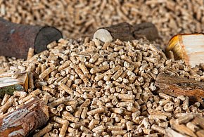 Drożeje popularny opał. Miliony Polaków dostaną po kieszeni tej zimy-12069