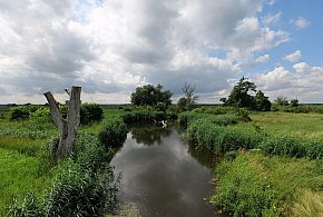 Co dalej z nowym parkiem narodowym? Minister klimatu zdradza plan po wecie-12166