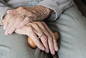 Te osoby dostaną dwie emerytury w grudniu. ZUS przesuwa przelewy-12277