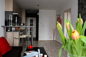 Rewolucja w wynajmie na doby. Nadchodzi koniec "wolnej amerykanki"-12388