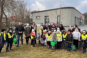 "Elektryczny Las" w Lublińcu. Uczniowie i urzędnicy posadzili 20 dębów-12444